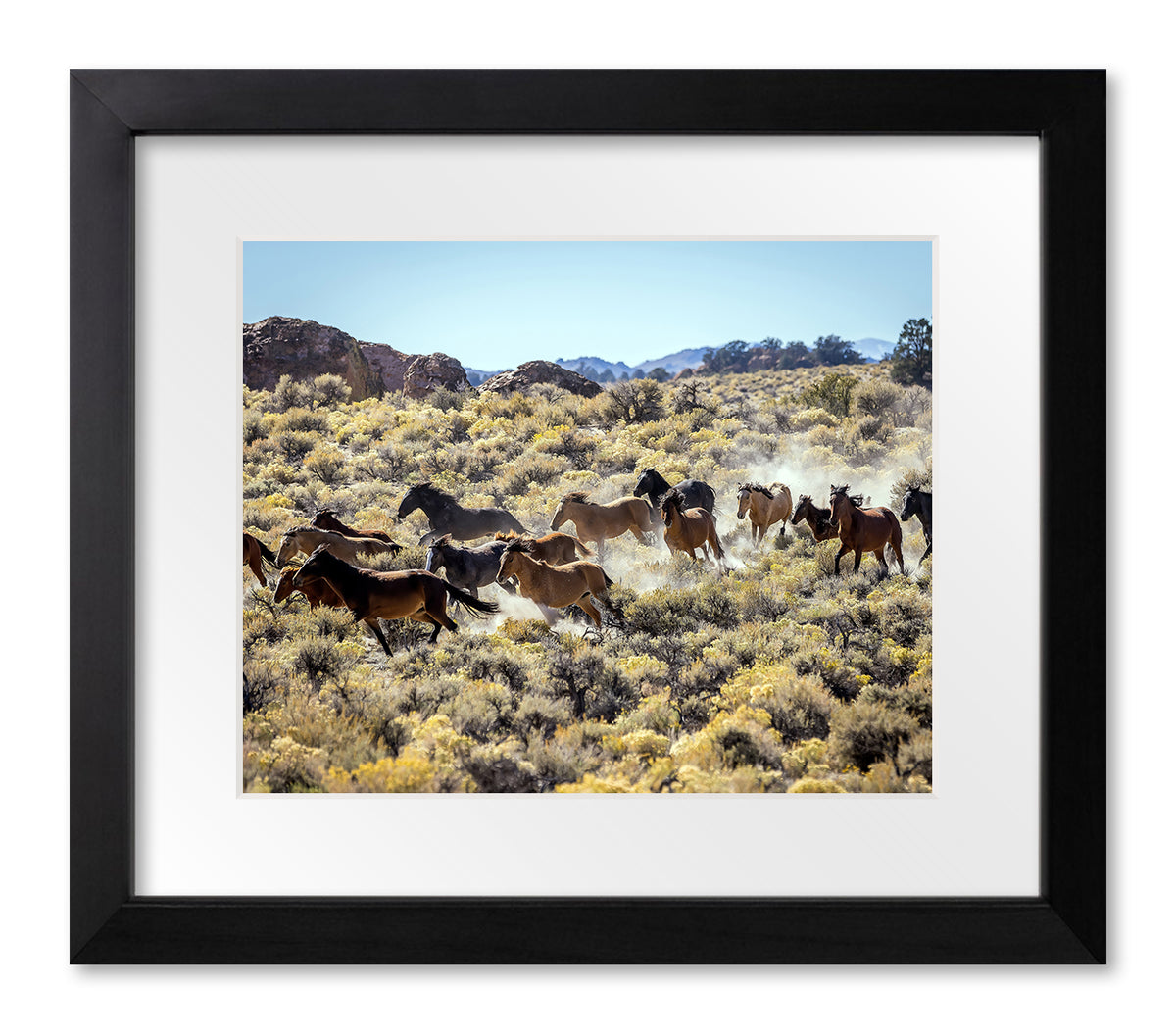 Horses Running Through Brush, Lee Vining, 2022