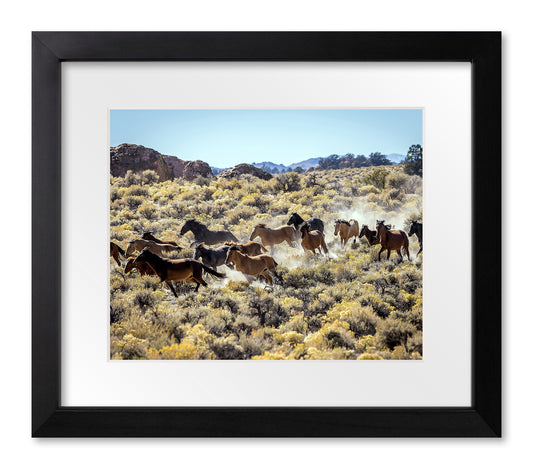 Horses Running Through Brush, Lee Vining, 2022